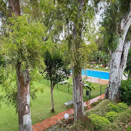 Hortensia Puerto Banus