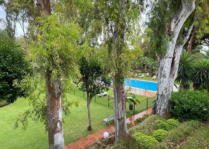 Hortensia Puerto Banus