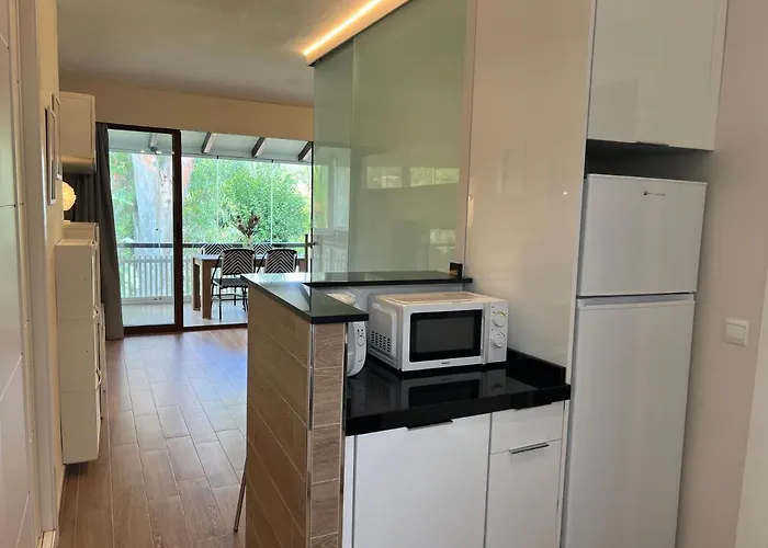 Hortensia Puerto Banus Apartament